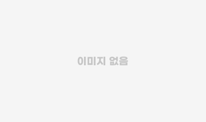 합성데이터세트 활용 ONE DAY 워크숍(※ 프로그램 참여시 노트북 지참 필수)_DEMO